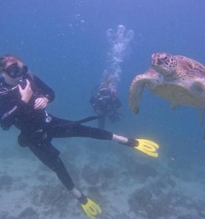two people in the water next to a sea turtle