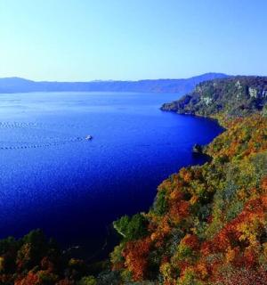 an aerial view of a lake with a flock of birds
