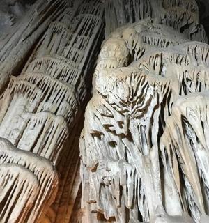 a relief of a bird in a cave