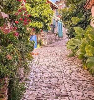 kamenná alej s květinami a rostlinami