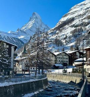 a snow covered mountain in the background of a city