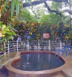 花园里有树的水池