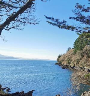 pohled na velkou vodní plochu se stromy