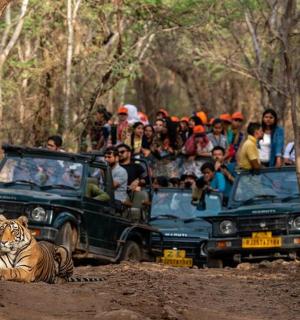 a group of people in a truck with a tiger