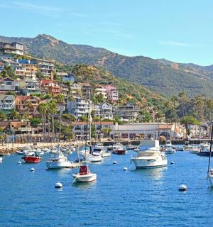 a bunch of boats in a harbor with a city