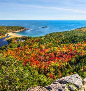 一片秋天落叶的森林的鸟瞰图