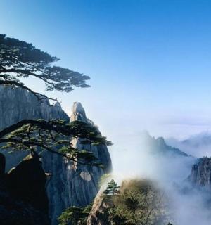 云雾缭绕的山边的一棵树