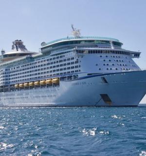 ein Kreuzfahrtschiff im Meer