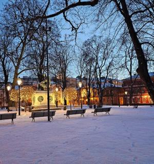 夜晚雪地里摆放长椅的公园