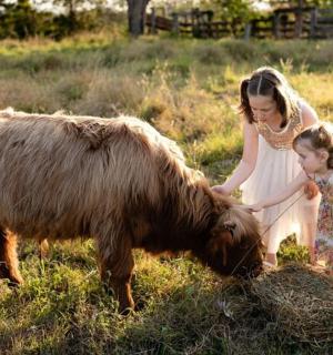一名妇女和一名小女孩正在抚摸一头牛