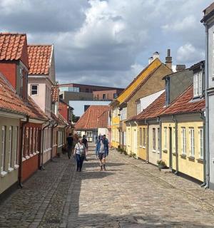 几个人走在有建筑物的街道上