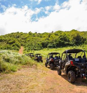 Skupina čtyř čtyřkolek zaparkovaných na nezpevněné cestě