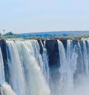 丛林中的瀑布景观