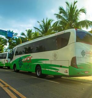 一辆绿白相间的巴士在街上行驶