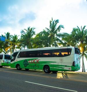 两辆绿白相间的巴士停在路边