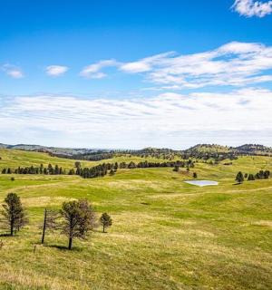 a green field with trees and mountains in the background