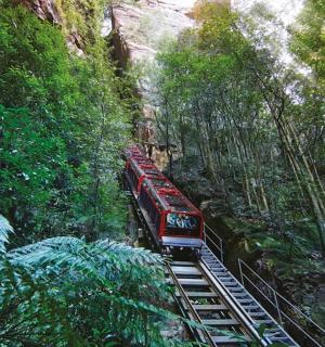 森林轨道上的红色火车