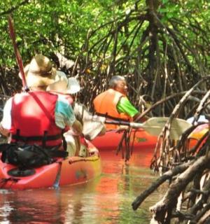 dva lidé v kajacích na řece v džungli