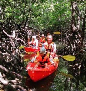 一群人在森林里划皮艇