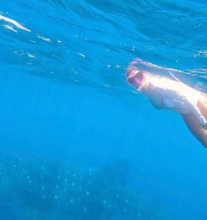 a woman is swimming in the blue water
