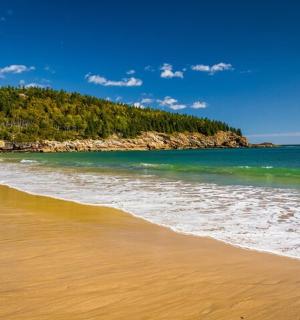 远处有树木的沙滩