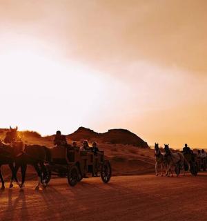 a group of people riding in a horse drawn carriage