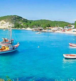 一群停靠在水域的船只