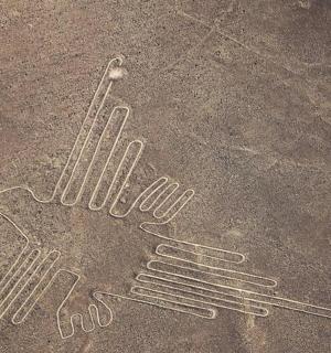 地上一把铲子的图画