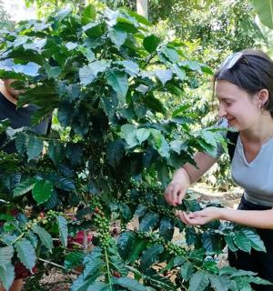 一位女士站在一株植物前