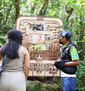 一名男子和一名女子站在公交车前