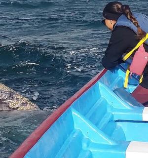a woman in a boat with a whale in the water