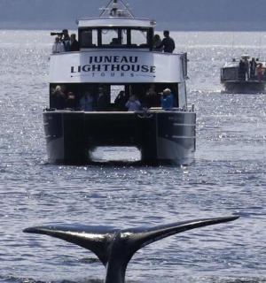 keporkak před lodí ve vodě