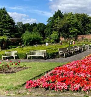 eine Reihe von Bänken in einem Park mit Blumen