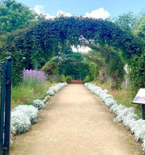 ein Garten mit einem Bogen und einem Feldweg