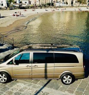 zlatá dodávka zaparkovaná vedle pláže