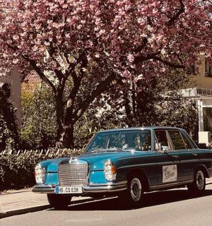 a blue car parked on a street with a tree