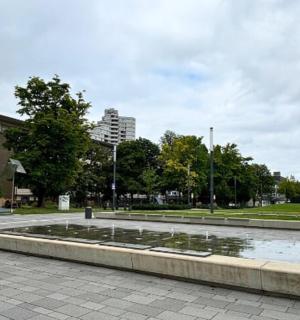 a fountain in a park with trees and buildings