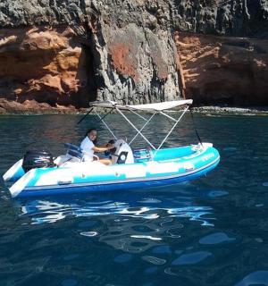 一名男子和一只狗在水中的一艘蓝色小船里