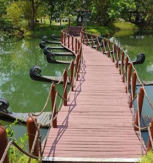 公园里湖上的一座木桥