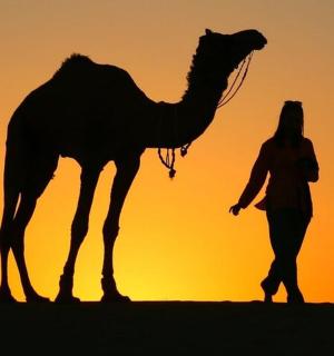 日落时分,一名女子走在骆驼旁边