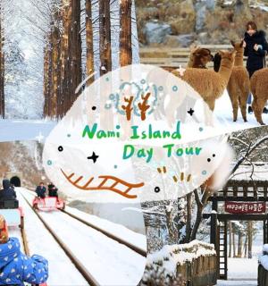 a group of people watching sheep in the snow