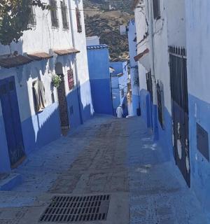 一条小巷里有蓝色的建筑,还有一条狗在里面散步