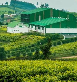 农田旁山上的谷仓