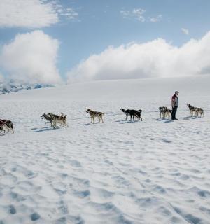 a man and a group of dogs in the snow