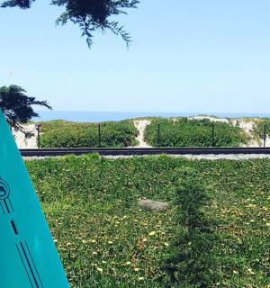 一块蓝色的冲浪板坐落在草地上