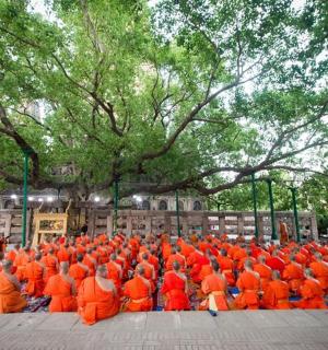 一群穿着橙色制服的人坐在地上