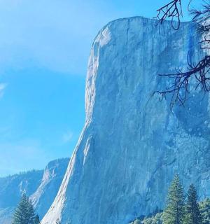 a large mountain with trees in front of it