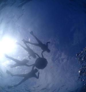 两个人在泳池里游泳,阳光洒在水中