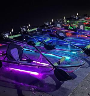 skupina kajaků seřazených v řadě