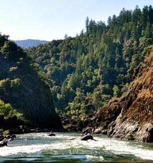一群人在河里的水中